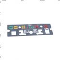 Picture of Decal Icon (dom)