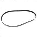 Picture of Belt - Serpentine