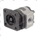 Picture of Pump-Ext. Gear
