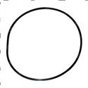 Picture of Ring - Back Up