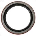 Picture of Seal - Lip Type