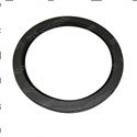 Picture of Seal - Oil