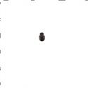 Picture of Setscrew