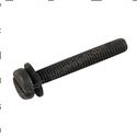 Picture of Screw (w/ Lockwasher)