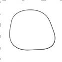 Picture of O-Ring
