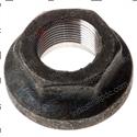 Picture of Nut