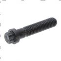Picture of Bolt