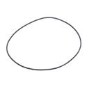 Picture of O-Ring