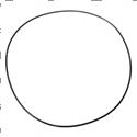 Picture of O-Ring