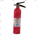 Picture of Fire Extinguisher - 10-B:c