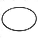 Picture of O-Ring