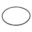 Picture of O-Ring