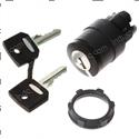 Picture of Switch - Key