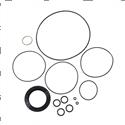 Picture of Seal Kit-Swing Drive