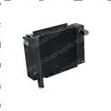 Picture of Radiator Dual Open Core Cush
