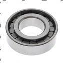 Picture of Bearing - Roller Cylindrical