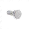 Picture of Bolt