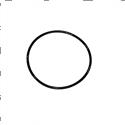 Picture of O-Ring