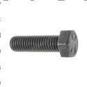 Picture of Bolt
