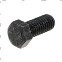 Picture of Bolt