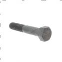 Picture of Bolt