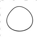 Picture of O-Ring