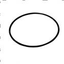 Picture of O-Ring