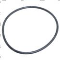 Picture of O-Ring