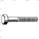 Picture of Bolt