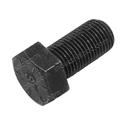 Picture of Bolt