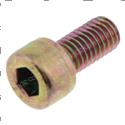 Picture of Bolt