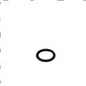 Picture of O-Ring