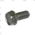 Picture of Bolt