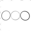Picture of Seal 9238280539