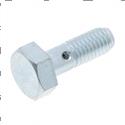 Picture of Bolt