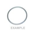Picture of O-Ring