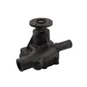 Picture of Pump - Water