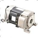 Picture of Motor Ac Pump 36/48v Renewed