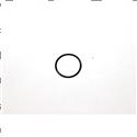Picture of O-Ring