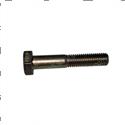 Picture of Bolt
