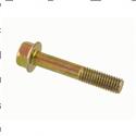 Picture of Bolt