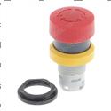 Picture of Gasket - Bearing Cap