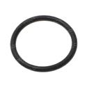 Picture of O-Ring