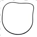 Picture of O-Ring