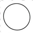 Picture of O-Ring