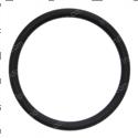 Picture of O-Ring