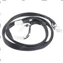 Picture of Wiring Harness