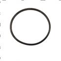 Picture of O-Ring