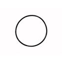 Picture of O-Ring - Strobe