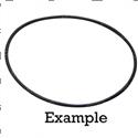 Picture of O-Ring